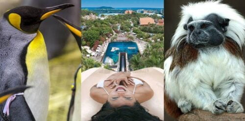 Tenerife Theme Parks