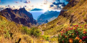 Tenerife Things to Do: Tourist Traps and Scenic Spots